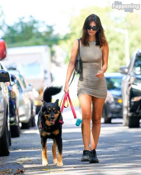 Emily Ratajkowski Looks Hot in a Mini Dress While Walking Her Dog in NYC (32 Photos) on girlsabc.com