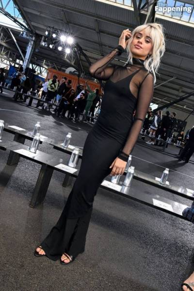 Camila Cabello Shows Off Her Pokies in a Black Dress at the Off-White Fashion Show (82 Photos) on girlsabc.com